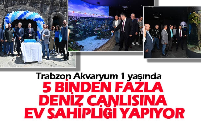 Genç, gazetecilere Trabzon Akvaryum’u gezdirdi
