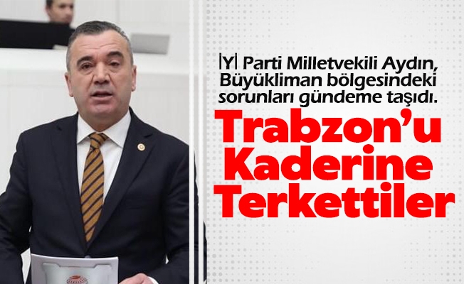 İYİ Parti Trabzon Milletvekili Yavuz Aydın, Büyükliman bölgesindeki sorunları meclis gündemine taşıdı.