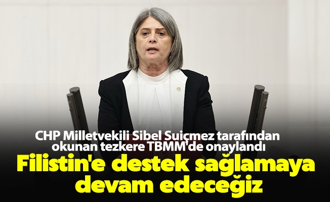 CHP Milletvekili Sibel Suiçmez tarafından okunan tezkere TBMM'de onaylandı