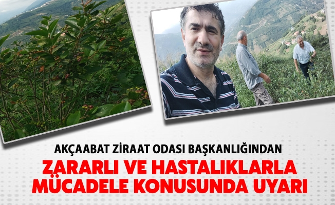 AKÇAABAT ZİRAAT ODASI BAŞKANLIĞINDAN FINDIK VE MEYVE BAHÇELERİNDE ZARARLI VE HASTALIKLARLA MÜCADELE KONUSUNDA UYARI !