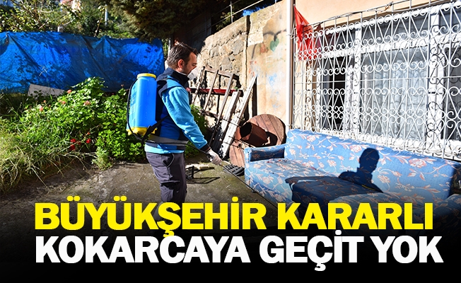 BÜYÜKŞEHİR KARARLI, KOKARCAYA GEÇİT YOK