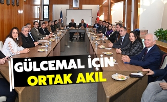 GÜLCEMAL İÇİN ORTAK AKIL